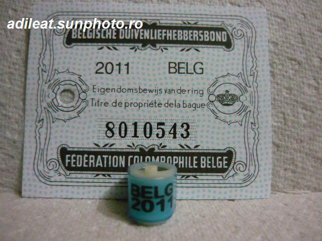 BELGIA-2011