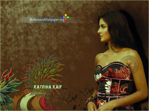 Katrina-Kaif-Smart-Picture-for-Wallpapers-Bollywood-Sexy-Actress-katrina-Kaif-Photo-520x390 - Katrina Kaif