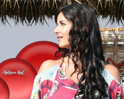 Model-Katrina-Kaif-Sexy-Picture-for-Wallpapers-Beautiful-Image-of-Katrian-Kaif1-520x416