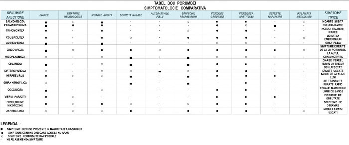 simptome-boli-porumbei