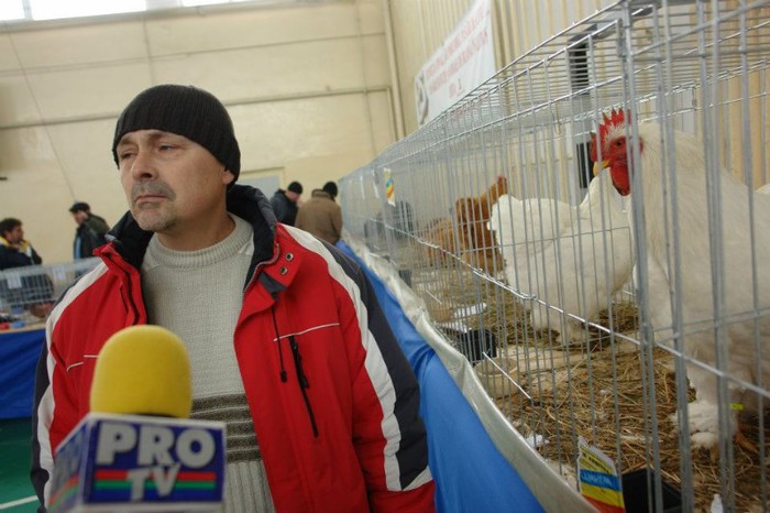 395188_359633887393916_1798044583_n - O- Expozitie Turda 2012