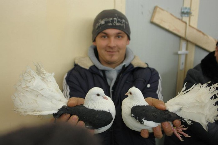 401204_359634094060562_788129189_n - O- Expozitie Turda 2012