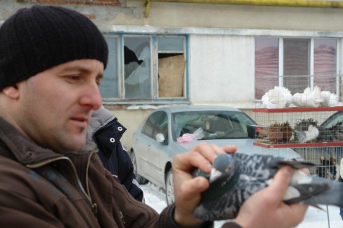 405409_359635210727117_1436311937_n - O- Expozitie Turda 2012