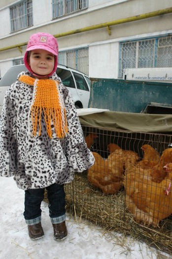 406976_359635660727072_1192036928_n - O- Expozitie Turda 2012