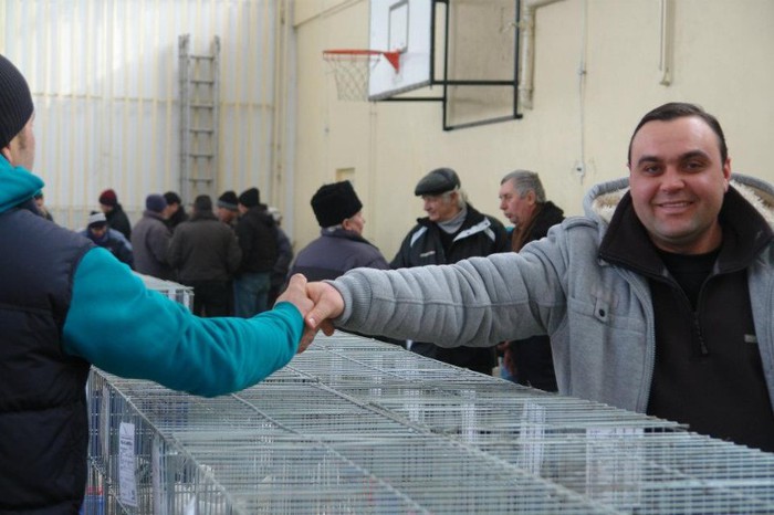 419830_359633924060579_336976413_n