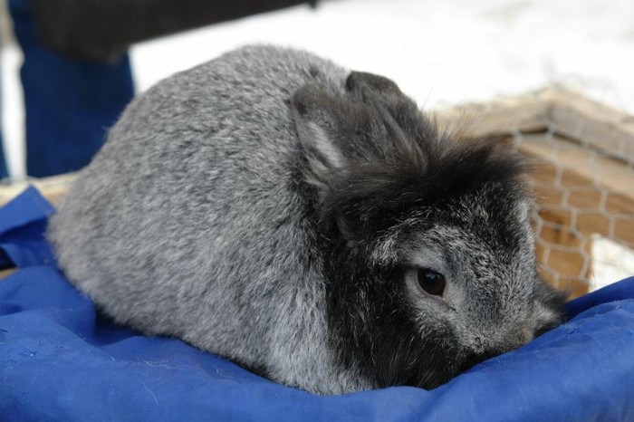 420160_359634787393826_1699698959_n