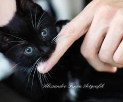 66049_440481082667868_477767861_n_thumb