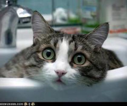 542211_10151186831013007_1218683126_n_thumb