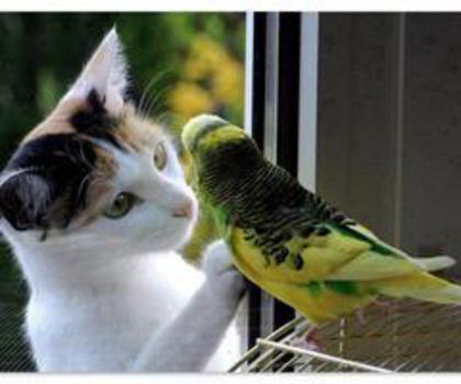 579259_10151211433118007_1923784784_n_thumb