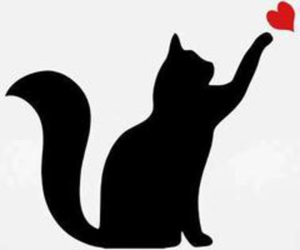 550166_10151251147963007_1173272026_n_thumb