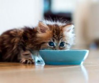 1357794828804715_574_574_thumb