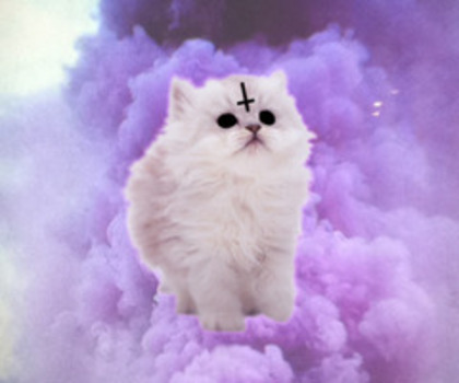 tumblr_mg5jz943aP1qljqwfo1_500_thumb - xo_Pisici_xo