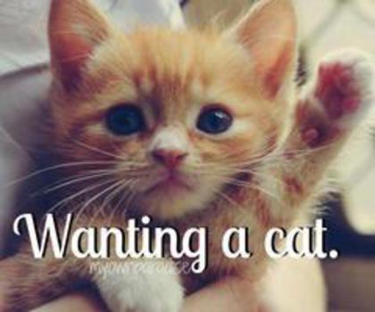 408592_297559800366351_1311487516_n_thumb