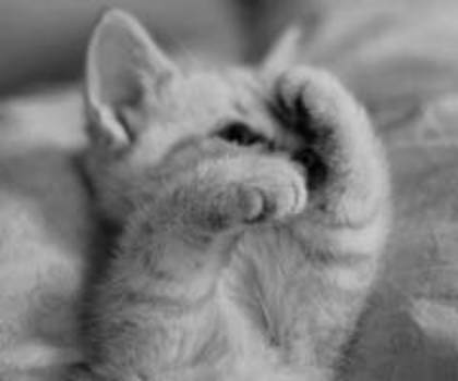 tumblr_mge1xoF4dn1rlt4d7o1_500_thumb