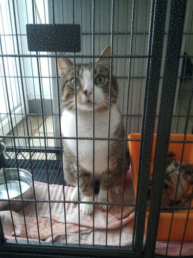 IMG_20121222_120829-575x766