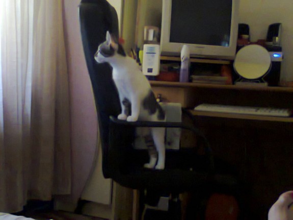 Fotografie0108-575x431