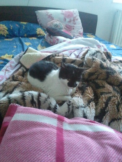 2013-01-09-12.07.27-575x766