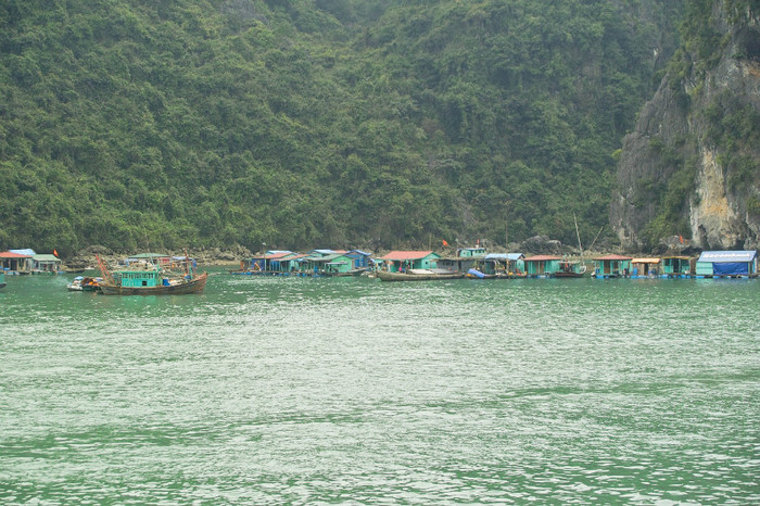 floating village - Vietnam - Hua Long Bay