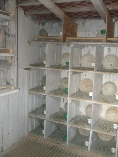 Compartiment Vaduvi 3