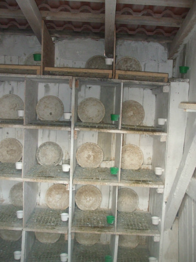 Compartiment Vaduvi 5