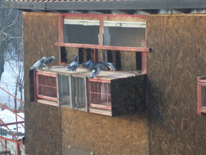 Vaduvi Sosiri Antrenament 1