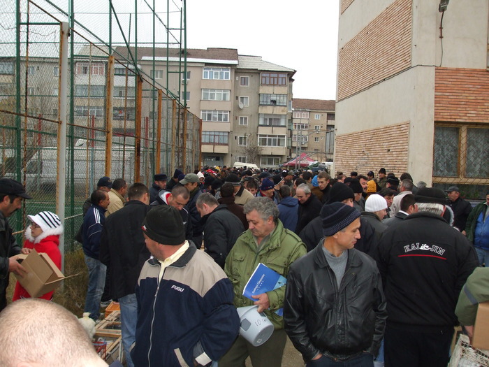 Expo. Targoviste Exterior 2009 - Premieri Prietenii Expozitii