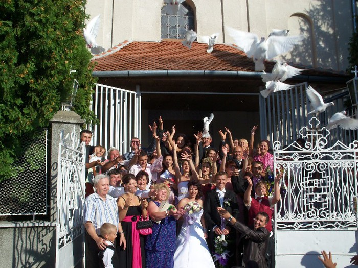 LOC CHECEA 2012 20 PORUMBEI ALBI - nunti