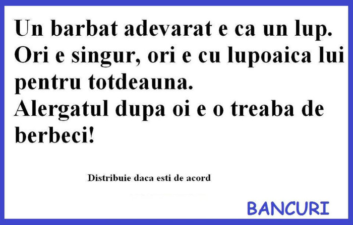 226679_507308352647792_461683089_n - Divertisment