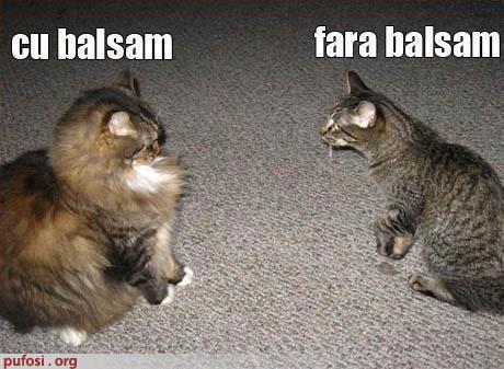 734714_523334957700888_1648729697_n