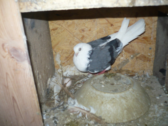 2013 060