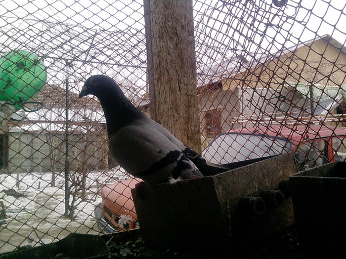 P100113_12.56