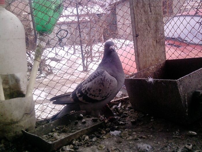 P100113_12.54