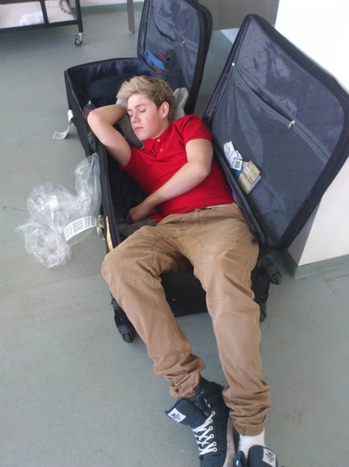 1D - 00 One Direction Sleeping