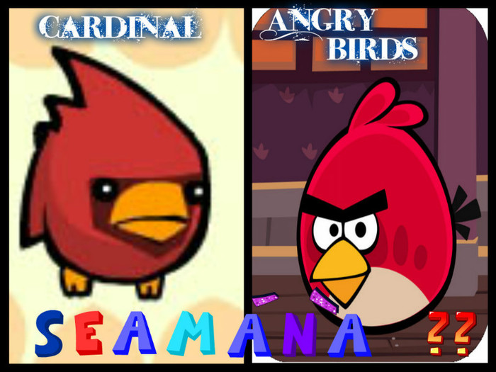 Angry birds si cardinal - iar asemanare