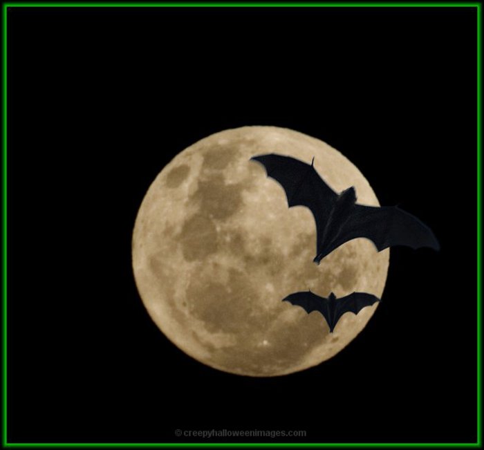 moon_with_bats_DSC3886b - Vampires or just a legend