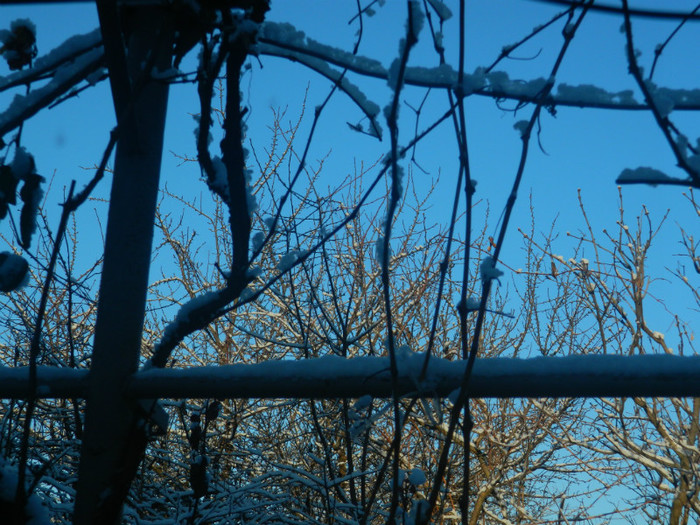 DSCN4021