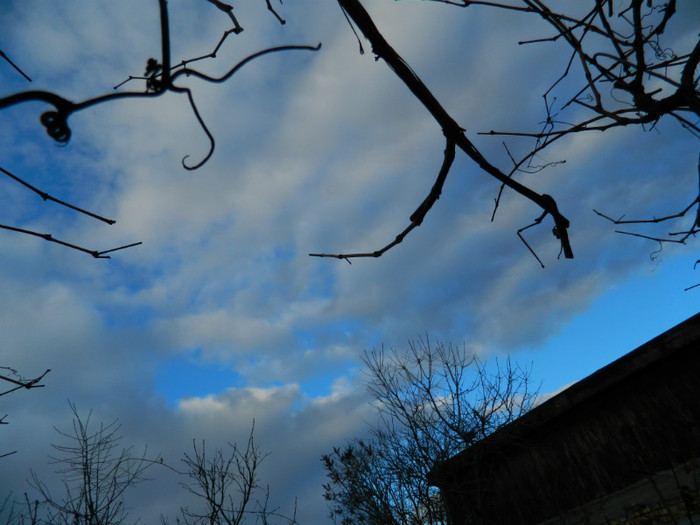 DSCN4064