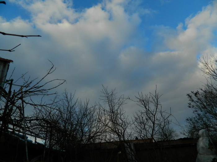 DSCN4070