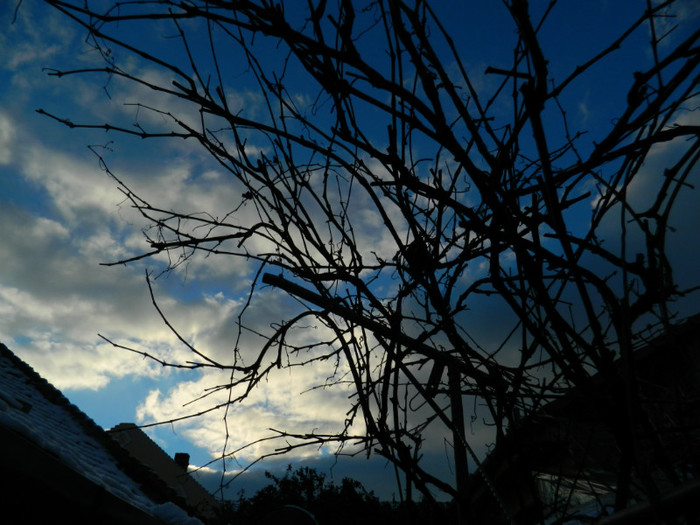 DSCN4071