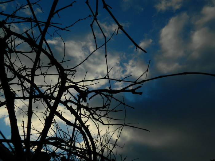 DSCN4078