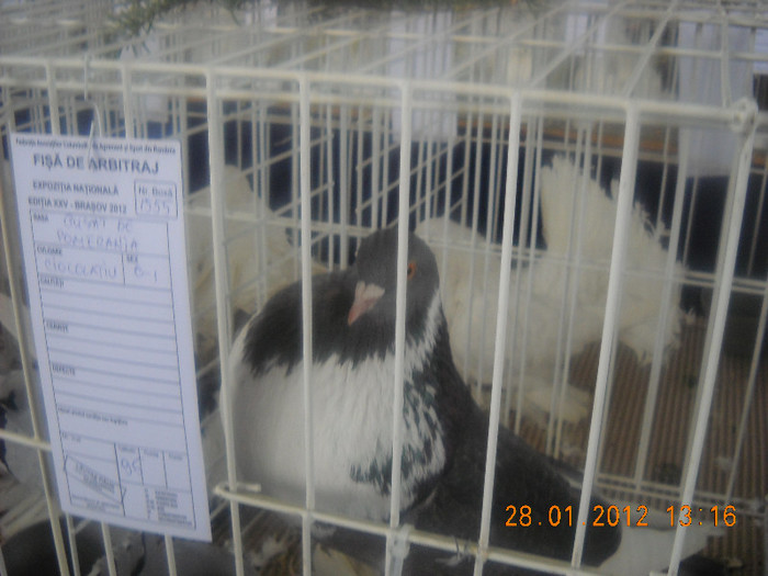 Picture 145