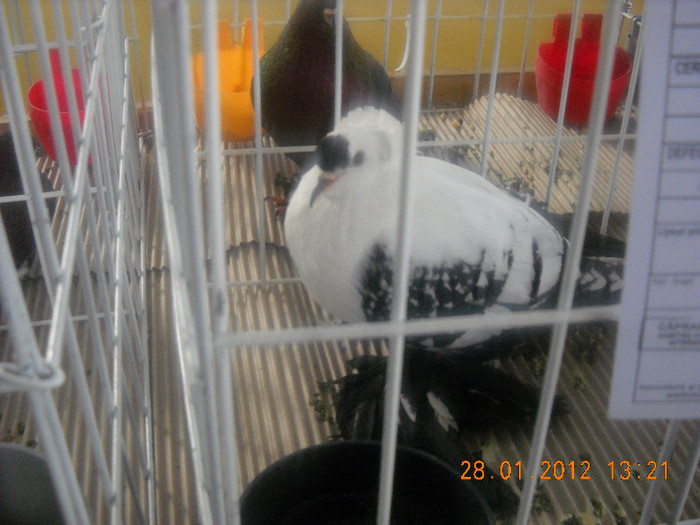 Picture 170
