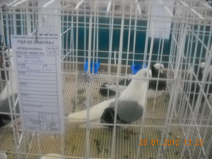 Picture 191
