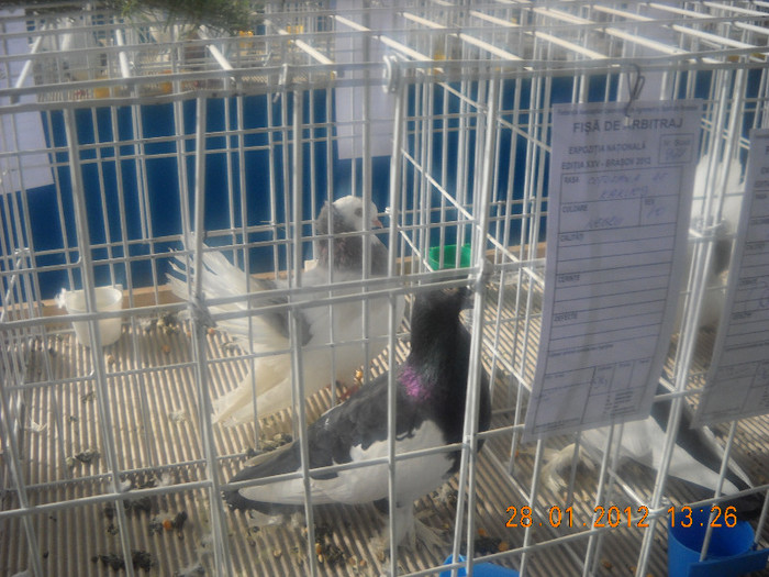 Picture 199