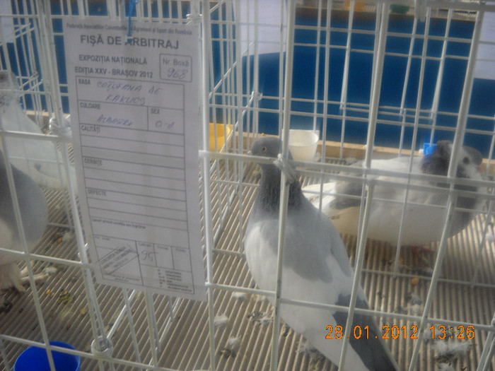 Picture 200