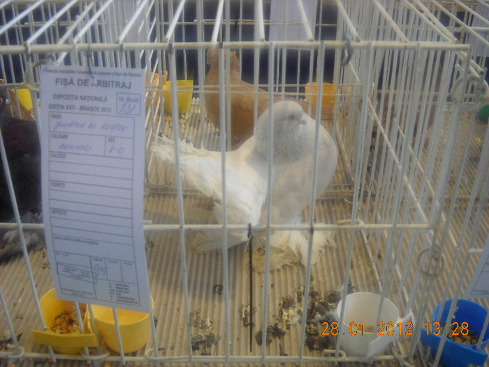 Picture 210