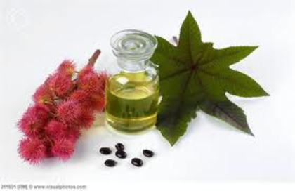 Castor oil