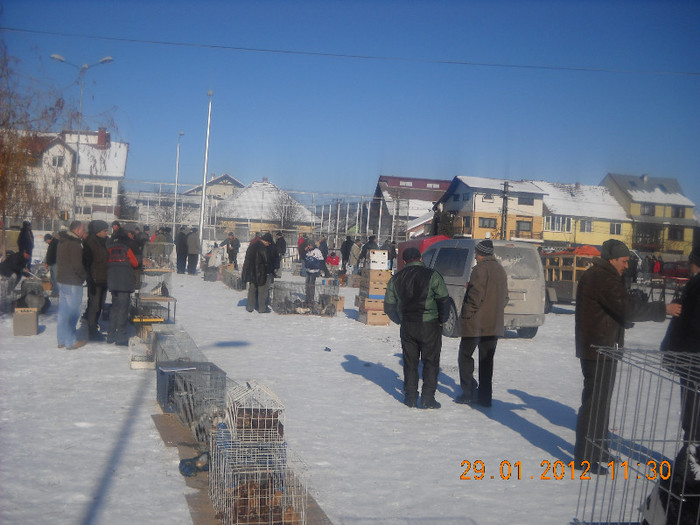 Picture 367 - Poze Nationala Brasov 2012