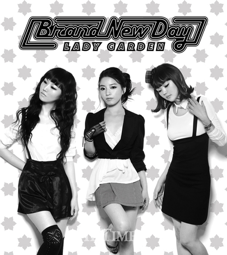 brandnewday - BRAND NEW DAY