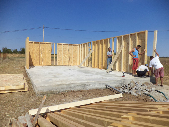 DSC00760 - 01 - Inceputul gospodariei noastre 2012